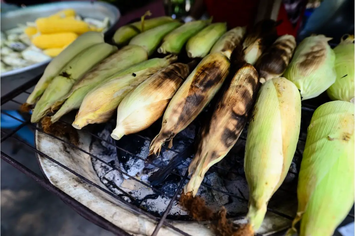 How Should You Grill Your Corn On The Cob?