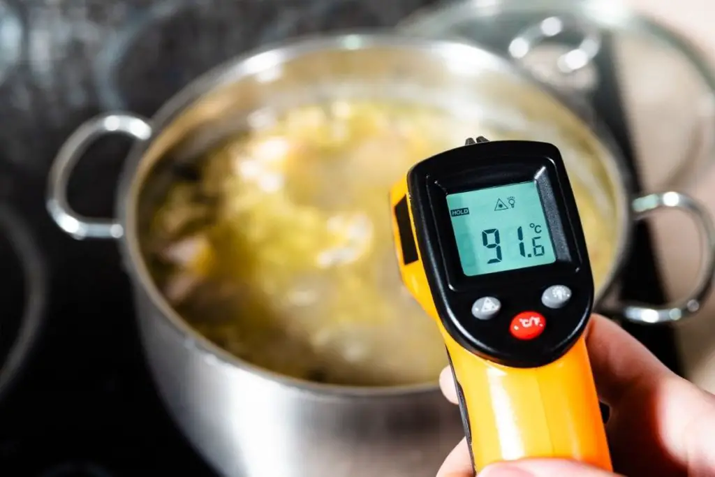 Best Infrared Thermometer for Cooking